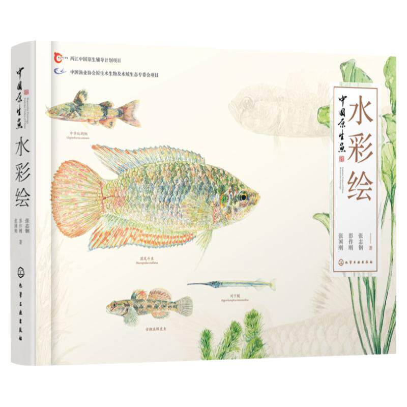 中国原生鱼水彩绘彭作常见