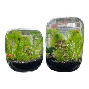 创意圆形玻璃鱼缸透明桌面加厚金鱼缸客厅微景观生命之树生态瓶