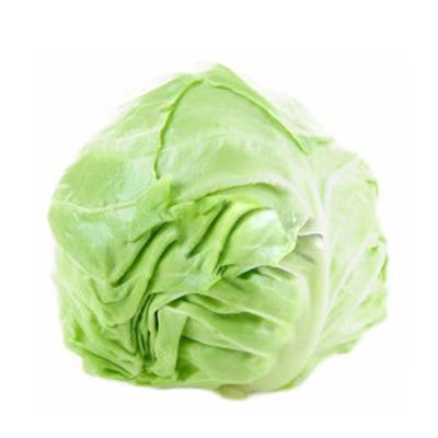 绿甘蓝苗子绿甘蓝秧苗四季蔬菜苗