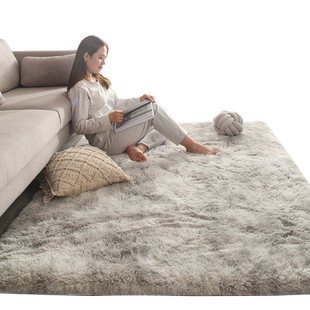 地毯卧室客厅黑色2025新款床边毯毛绒加厚地垫满铺免洗茶几毯房间