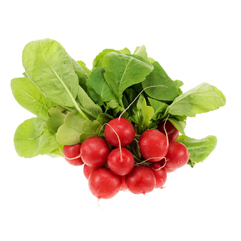 蔬菜种子包邮农家四季胡萝卜根茎
