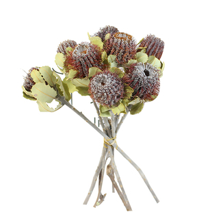 黄金小佛塔进口干花高端diy花材插花复古装饰真花无需浇水养护