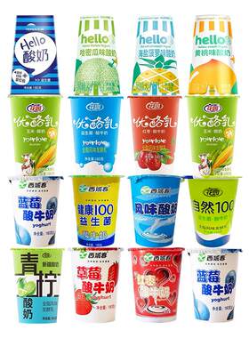 新疆酸奶4-8种口味混搭180g*12杯