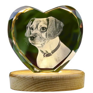 宠物纪念品定制品精致创意照片狗狗猫咪礼物水晶3D内雕发光送朋友