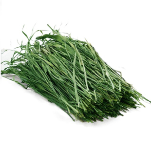 25年全叶烘干南提摩西干草毛重1kg兔子草龙猫荷兰猪豚鼠牧草饲料