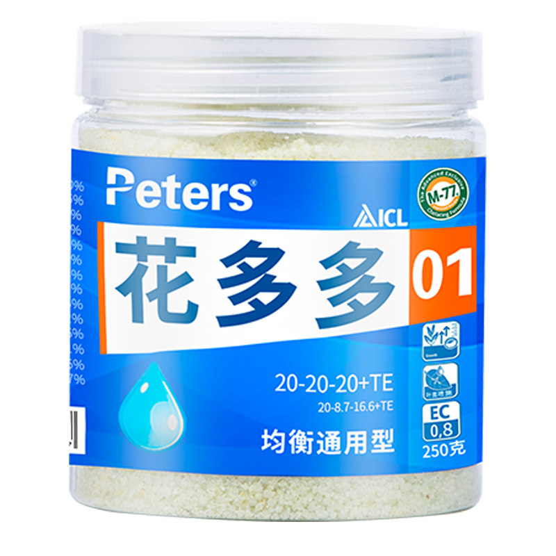 多多2号月季进口通用水溶兰花