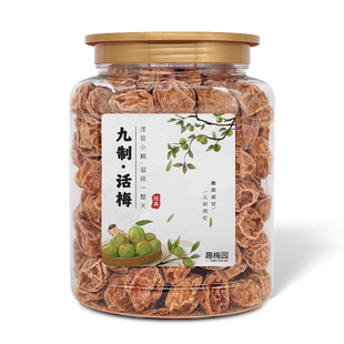 九制话梅皇特大话梅干梅子旗舰店酸甜咸泡水广东香港孕妇零食蜜饯