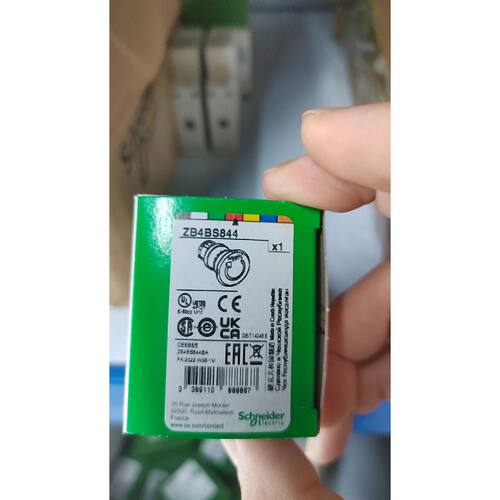 ZB4BS844施耐德