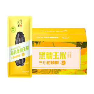雁门清高富硒黑糯玉米粗粮糯玉米山西忻州特产轻食低脂代餐真空装