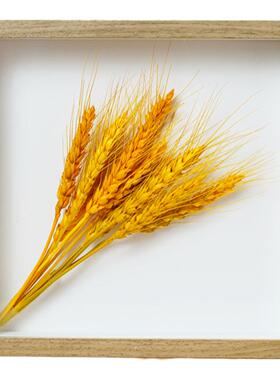 中空3厘米相框立体加厚收纳相框干花手工作品装裱框标本框摆台