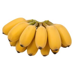 正宗苹果蕉大果 香蕉新鲜5斤自然熟当季整箱水果粉蕉小米芭蕉香焦