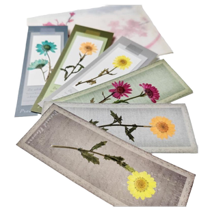 真花书签押花小清新中秋节学生奖品礼物男女友永生花干花赠信封