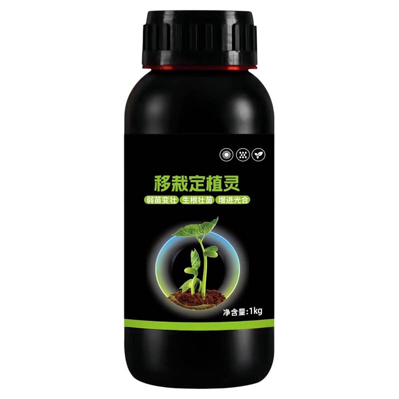 移栽定植灵植物定苗生根移植成活