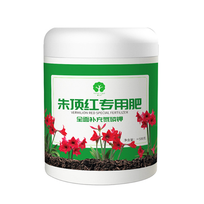 朱顶红颗粒肥盆栽养护肥漫生活