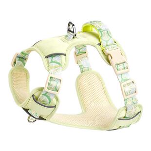 狗狗牵引绳大中小型犬背带款工字型胸背狗狗背心带透气可调节狗绳