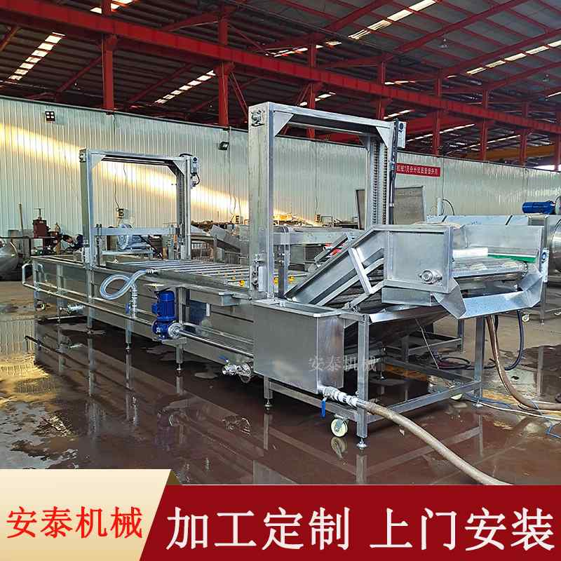 果蔬气泡清洗机 速冻蔬菜气泡翻浪清洗机  银耳清洗蒸煮加工设备