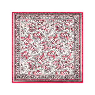 红色复古花纹男士丝巾Vintage方巾衬衫领巾阿美咔叽小围巾短款