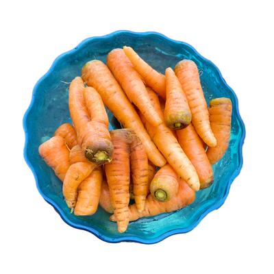 现挖湖南本地农家胡萝卜