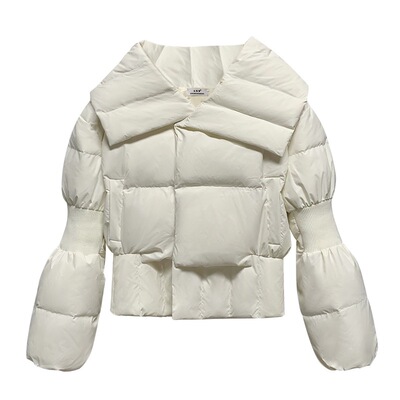 大翻领保暖羽绒服外套时尚冬短款