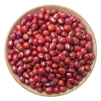 2025年新红豆当季东北红小豆