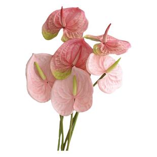 ReFound高品质火鹤掌仿真花红掌粉掌白掌假花 样板间家居装饰大枝