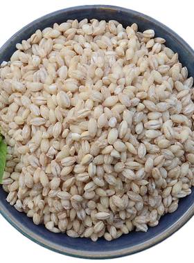 2026年农家现磨小麦仁大麦仁500g
