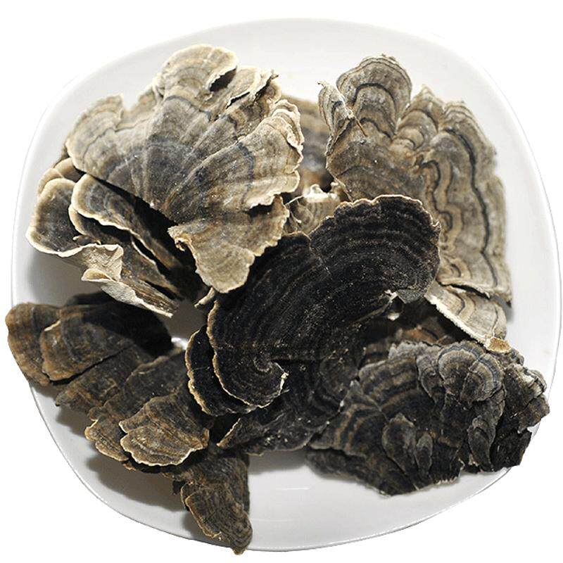 买3送1[汇吉工坊]长白山云芝片云芝含云芝多糖野外生长500g