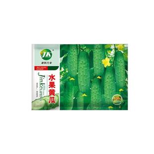 水果黄瓜种子生吃甜脆不苦旱黄瓜种籽阳台田园春秋蔬菜瓜果种籽