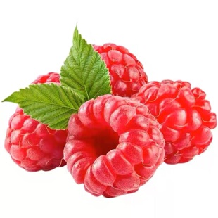 新鲜怡颗莓红树莓鲜果4盒网红水果覆盆子山莓泡孕妇水果包邮顺丰