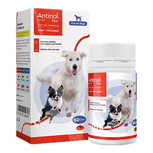 新西兰进口Antinol安替诺277宠物猫咪狗软骨素髌骨脱位关节炎骨刺