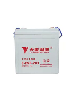 特价天能6V200AH扫地车铅酸电池