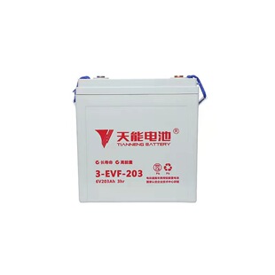 天能3-evf-203-220电动小火车 洗地机 扫地车观光车6V200AH蓄电池