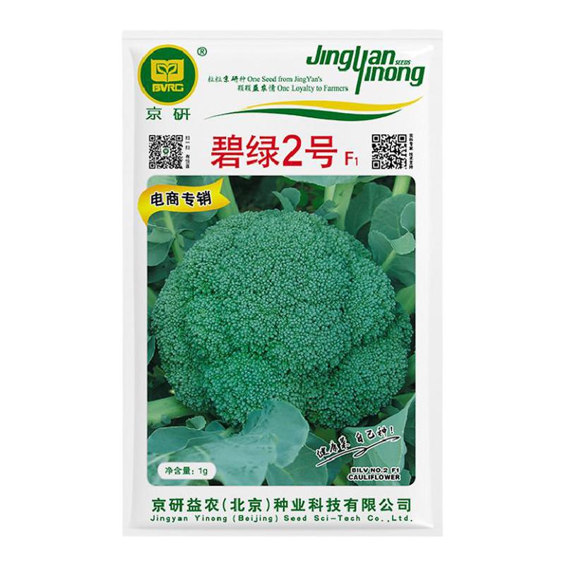 农科院西蓝花蔬菜种子西兰花种子橙花菜花菜松花菜种子宝塔花菜籽