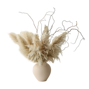 网红天然芦苇蒲苇干花花束客厅橱窗软装展厅布置落地插花拍照道具