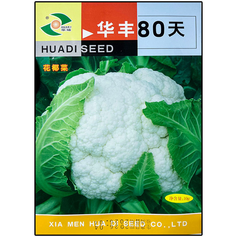 华丰80天紧白花菜椰花菜蔬菜种子