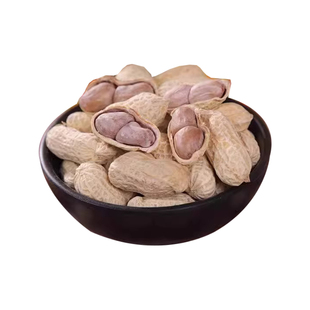 龙岩湿烤花生旗舰店2025新货福建特产水煮白晒日晒咸干蒜香下酒