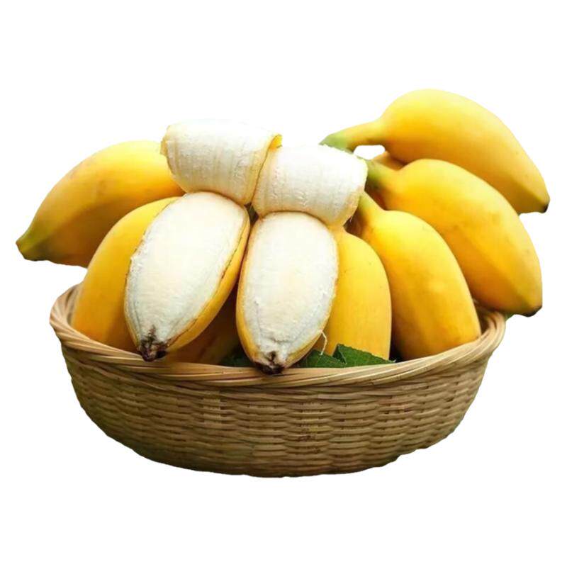 【顺丰】正宗苹果蕉新鲜现砍现发