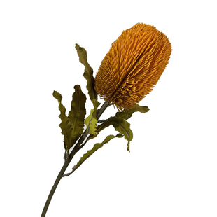 田园进口花材班克木仿真花佛塔客厅插花装饰摆件轻奢软装拍摄道具