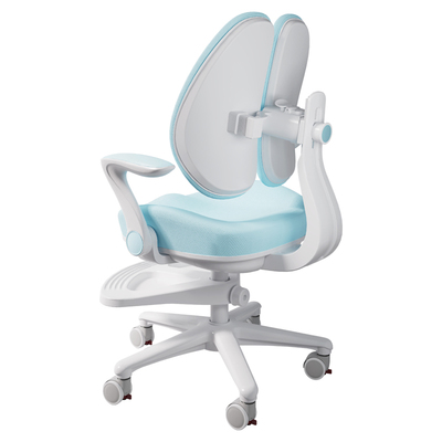 巴布诺升降儿童学习桌椅