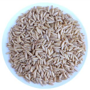 甘肃特产莜麦米油麦子会宁农家莜麦旱地种植粗粮做莜麦面甜醅材料