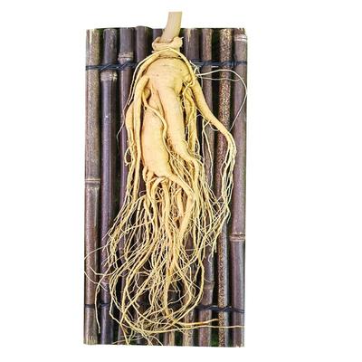 万里堂人参煲汤泡酒药材