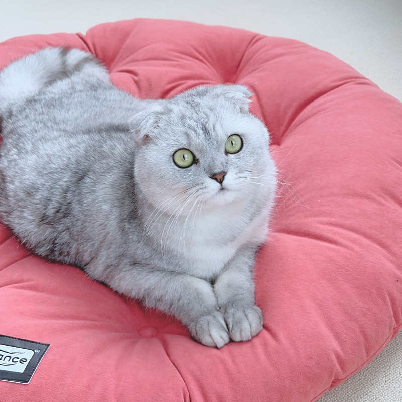 圆形狗狗垫子睡觉用猫咪垫比熊中小型犬笼子垫地垫四季通用宠物垫