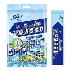 降温湿巾清风便携式冷感祛热袋装