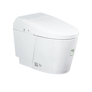 TOTO智能马桶CES7M110ECN座圈加热温水洗净坐便器家用G5 lite(01)