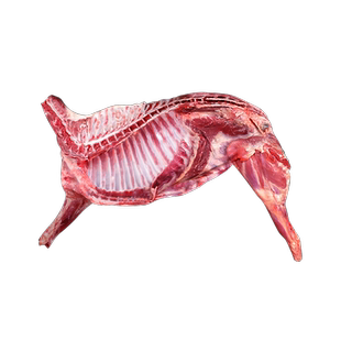 内蒙古3-5-10斤新鲜羊肉现杀冷冻全羊烧烤整只羊蝎子羊排羊腿羊蹄