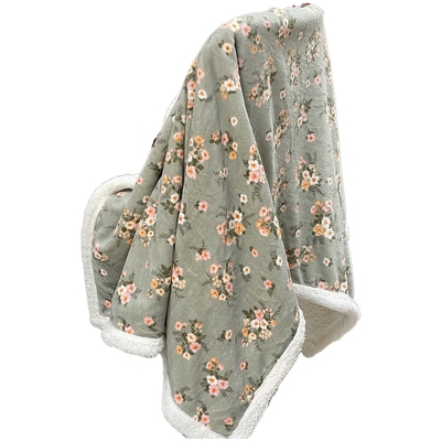 ins风毛毯牛奶羊羔绒四季通用