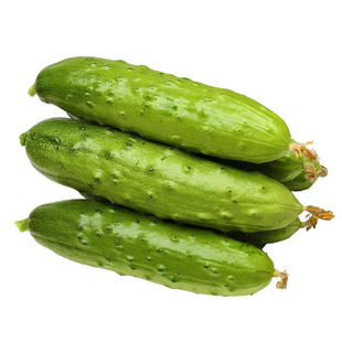 长黄瓜种子水果黄瓜种绿肉津研四号节节多水果黄瓜摘不败蔬菜种子