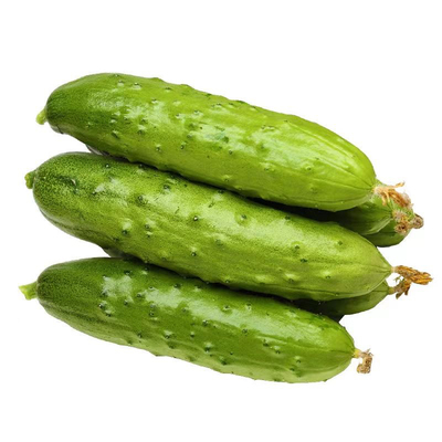 黄瓜种子摘不败黄瓜绿肉脆甜好吃