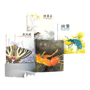 【全套4册】馆野鸿科学绘本 精装 蛩蠊斑蝥虎凤蝶埋葬虫昆虫书籍科普百科生物认知小学生课外阅读儿童自然界启蒙读物