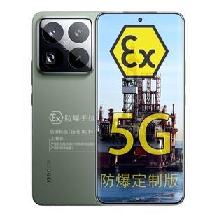 小米15 Pro 智能5G旗舰 6100mAh大电池 化工定制防爆手机 化工厂本安EX工业医药石油专用 防爆定制版(带证书)